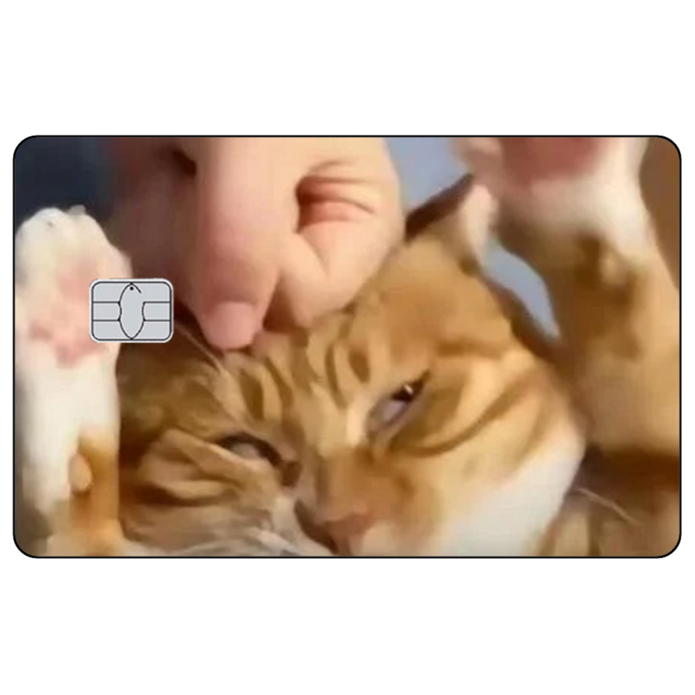 Sevimli Kedi Memesi Kredi Kart - Badminton Meme incelemesi ve fiyatı